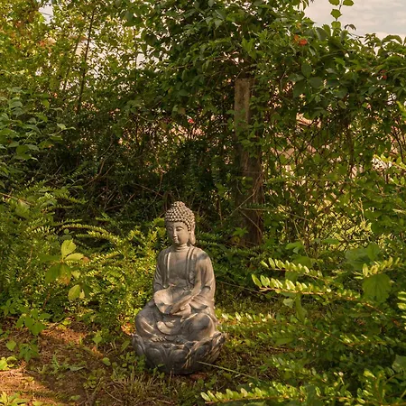 Hisa Hortenzija - And Apartment