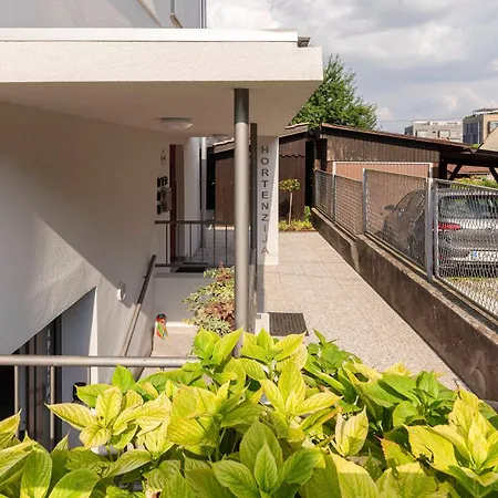 Hisa Hortenzija - And *