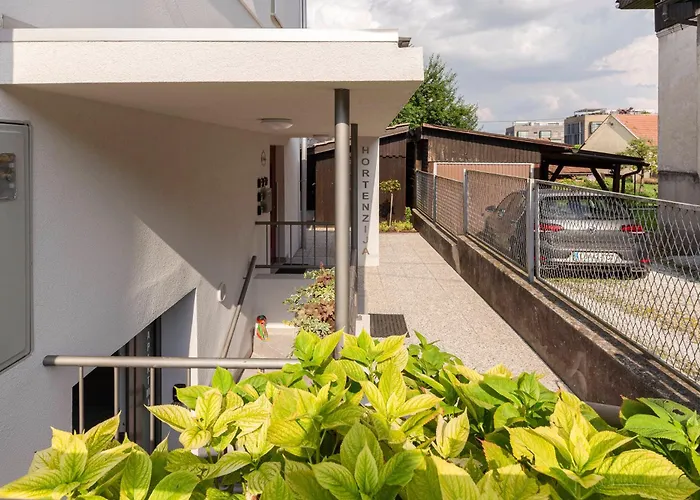 Hisa Hortenzija - And *